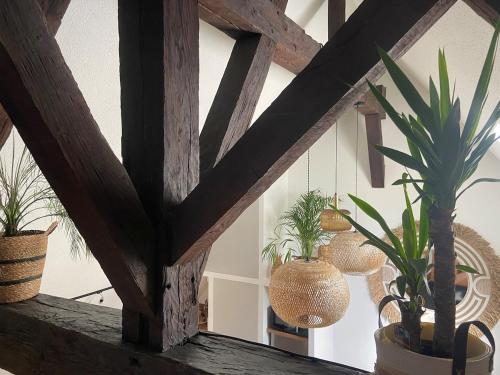 a group of potted plants sitting on a window sill at Bali Surya in Chalon-sur-Saône