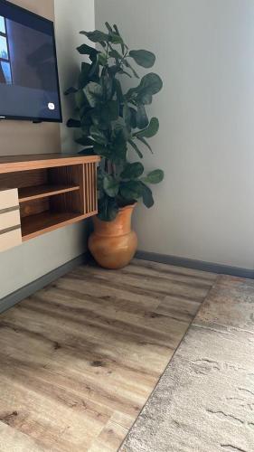 Μια τηλεόραση ή/και κέντρο ψυχαγωγίας στο Bina Apartment3