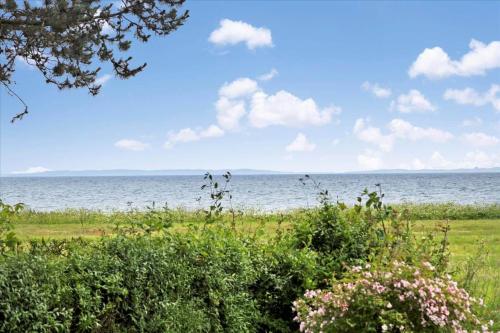 Naturlandschaft in der Nähe des Ferienhauses