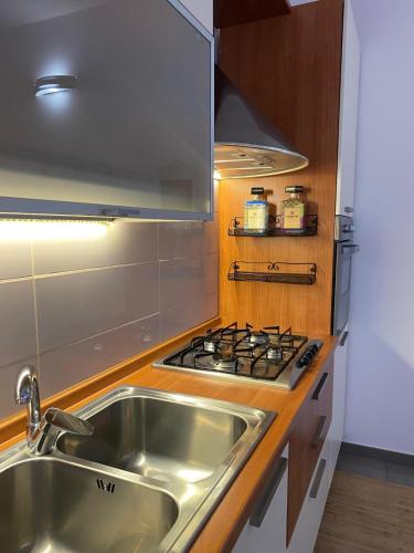 a kitchen with a sink and a stove at Roero House in Asti