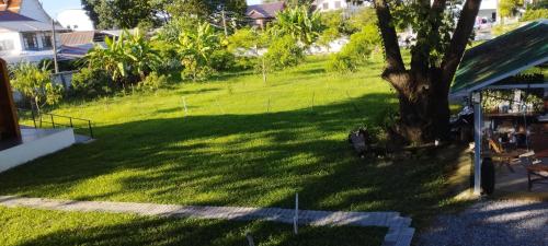 a green yard with a tree in the shade at Nan Homey Space น่านโฮมมี่สเปซ in Nan