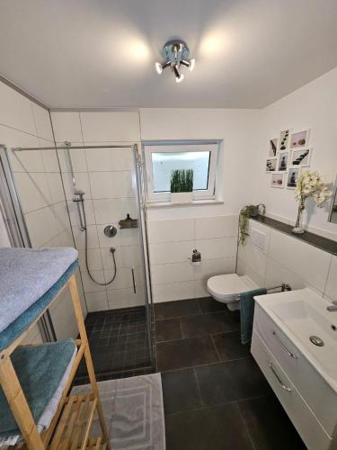 a bathroom with a shower and a toilet and a sink at Luna Apartment in Dinkelsbühl