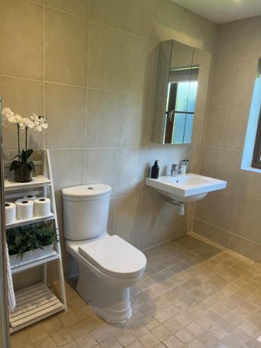 a bathroom with a toilet and a sink at Nestled in the heart of a stunning Suffolk Village in Chediston