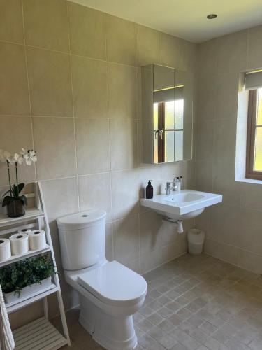 a bathroom with a white toilet and a sink at Nestled in the heart of a stunning Suffolk Village in Chediston