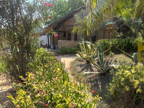 a house with a garden in front of it at Villa Maroloko in Ifaty