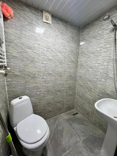 a bathroom with a toilet and a sink at Achela's Guesthouse in Borjomi