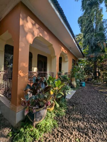 a house with plants on the side of it at Karibu Homestay in Moshi