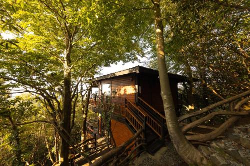 a tree house in the middle of the forest at Indra Village Hotel in Pazar