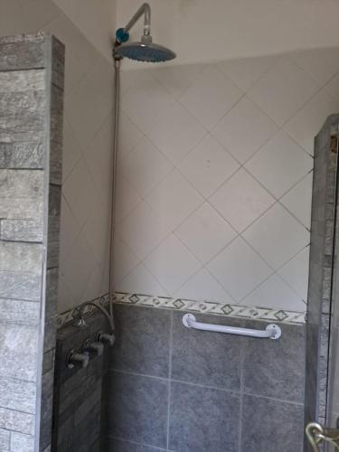 Koupelna v ubytování Paso Puyehue