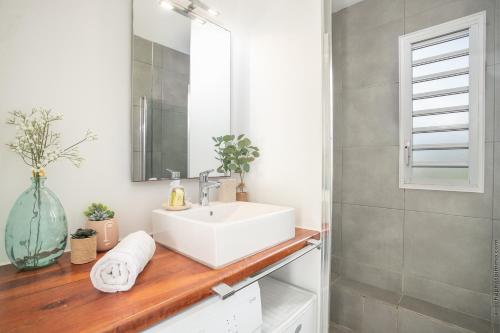 レ・トロワ・イレにあるVilla Hateya, vue mer et piscine privéeの白い洗面台と鏡のあるバスルーム