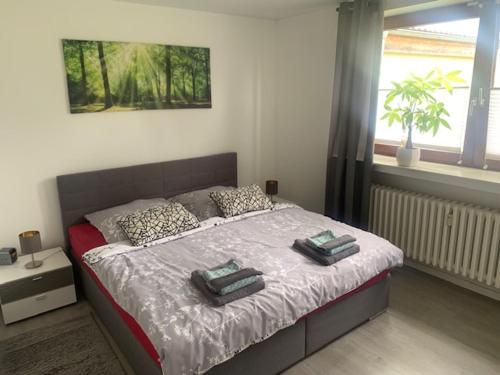 Un dormitorio con una cama con dos almohadas encima. en FeldQuartier, en Grebenstein