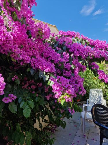 Giardino di Charmante Villa de vacances
