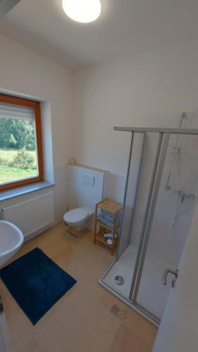 Ferienwohnungen am Büchlhof im Oberpfälzer Seenland في نينبورغ فورم والد: حمام مع دش ومرحاض ونافذة