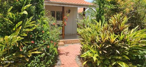 a brick walkway leading to a house with plants at Kamuli Cottage in Entebbe
