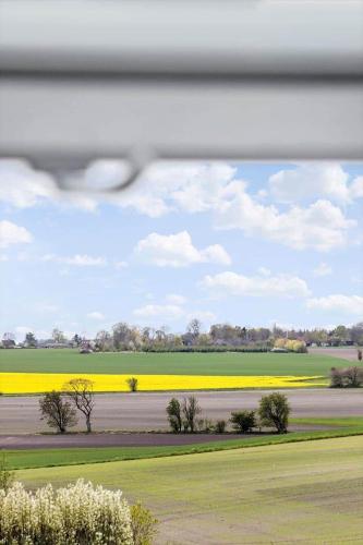 a window view of a field of yellow flowers at 30467-Odder-Ravnsager-15 in Odder