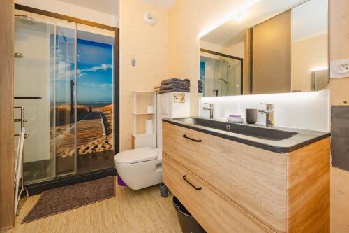 a bathroom with a sink and a toilet at An Ti Gwerned - Proche Aéroport Rennes in Saint-Jacques-de-la-Lande