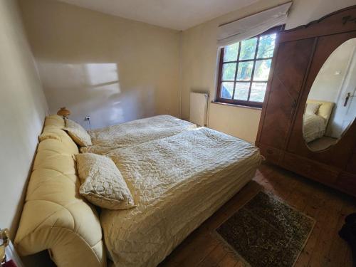 ein Schlafzimmer mit einem großen Bett und einem Spiegel in der Unterkunft Cosy Cottage Rooms near Autobahn A2 & Hannover in Barsinghausen