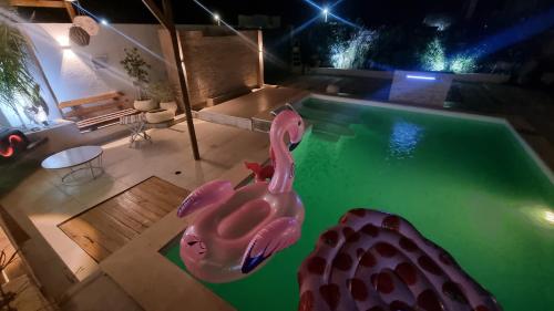an overhead view of a swimming pool at night at DAR-Layem in Hanshīr Qaşr Ghallāb