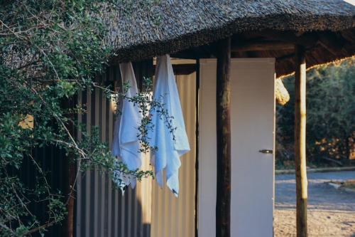 ein Haus mit einem blauen Regenschirm neben einer Tür in der Unterkunft The Karoo Glamping Dome in Graaff-Reinet