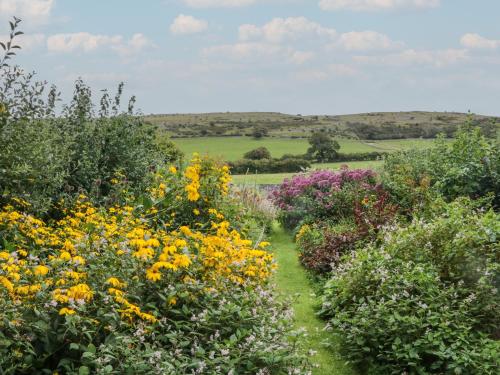 a garden with yellow and purple flowers at The Old Kitchen in Grange Over Sands
