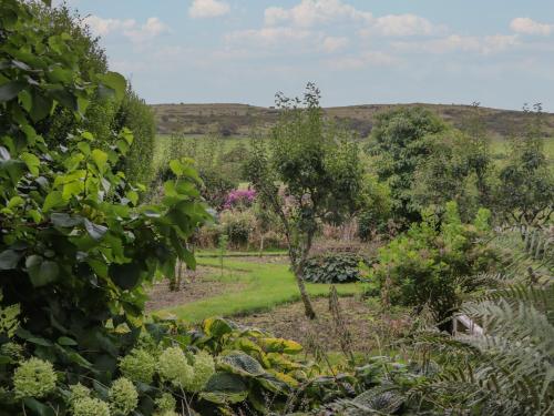 a garden with trees and flowers in the background at The Old Kitchen in Grange Over Sands