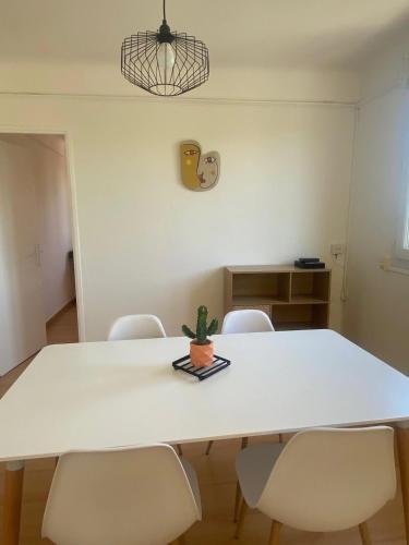 Appartement confortable avec vue sur étang de Thau et télétravail