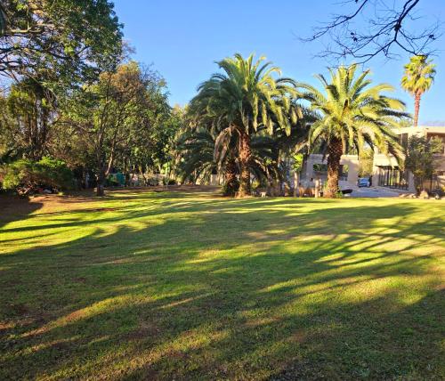 a large grass field with palm trees in a park at Sandown Suites and Conference Centre in Johannesburg