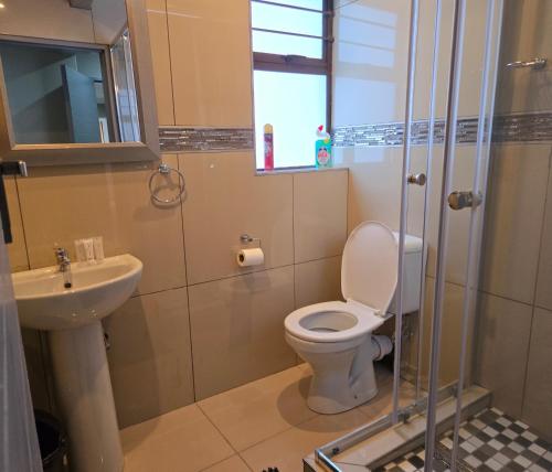 a bathroom with a toilet and a sink at Sandown Suites and Conference Centre in Johannesburg