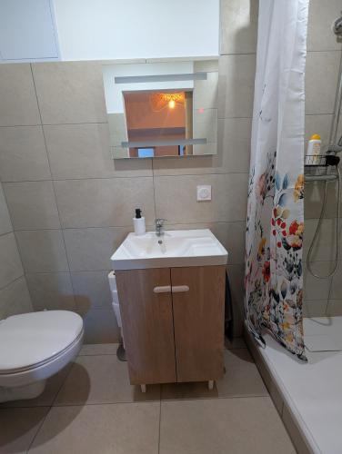 a bathroom with a sink and a toilet and a mirror at Stay Padel House in Perpignan