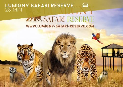 a poster for a safari rescue with tigers and a lion at L'élegant, climatisé et rénové - Appart'hôtel Chez MV in La Ferté-Gaucher
