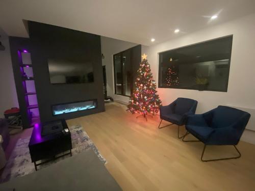 a living room with a christmas tree and a fireplace at Lakefront-Spa-Luxury in true nature! in La Minerve