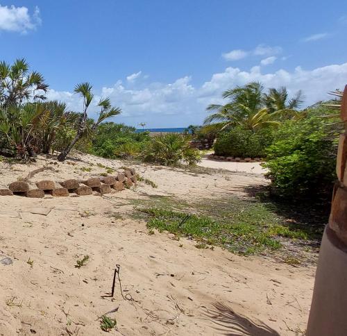 a sandy beach with palm trees and the ocean at Bay View Lodge in Miramar