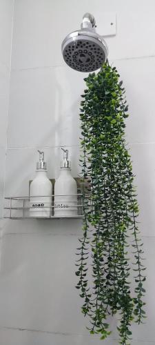a green plant is hanging from a light on a shelf at Boho Comfort Homes in Diani Beach