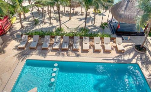 Πισίνα στο ή κοντά στο Beachfront Soliman Bay Villas for big groups