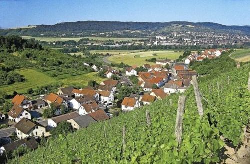 un pueblo en una colina con casas y árboles en Gästehaus Zum Lamm, en Lauda-Königshofen