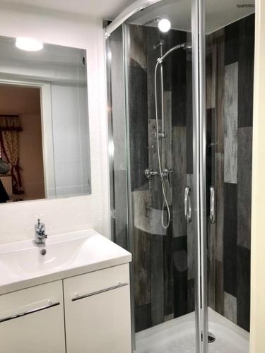 a bathroom with a shower and a sink at Aparthotel Villa Reimold in Bebra