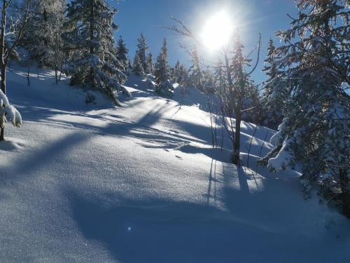 a snow covered slope with the sun shining through trees at Penzion Na Začátku in Benecko