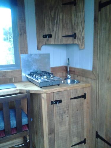 a kitchen with a stove and a sink in it at Berwyn Shepherds Hut in Wrexham