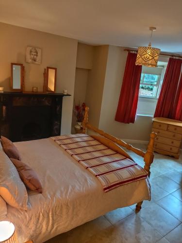 a bedroom with a bed and a fireplace and a window at Charlesfort House in Ferns