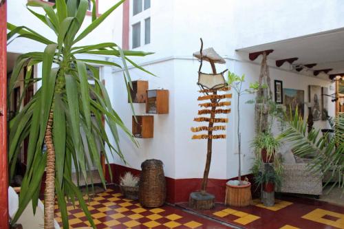 a room filled with lots of potted plants at Hotel Boutique Terra Diaguita & Spa in La Serena