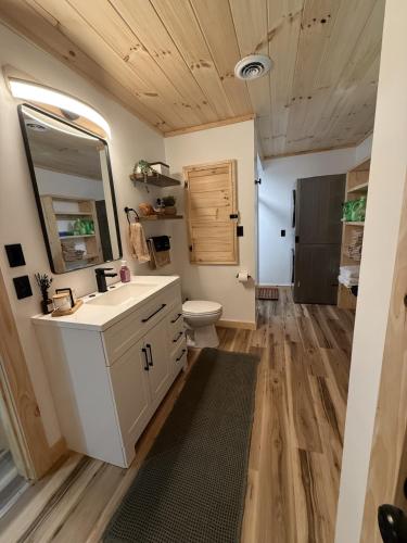 a bathroom with a toilet and a sink and a mirror at The Brady Retreat Hot tub and pool in McArthur