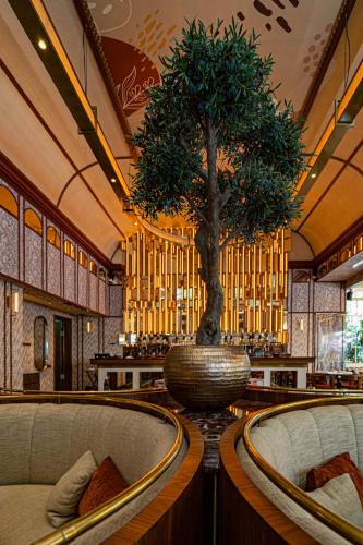 a room with a tree in a large vase at Marly Boutique Hôtel in Casablanca