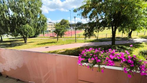 a balcony with pink flowers on a fence at Apartament Studio Michałek Częstochowa in Częstochowa