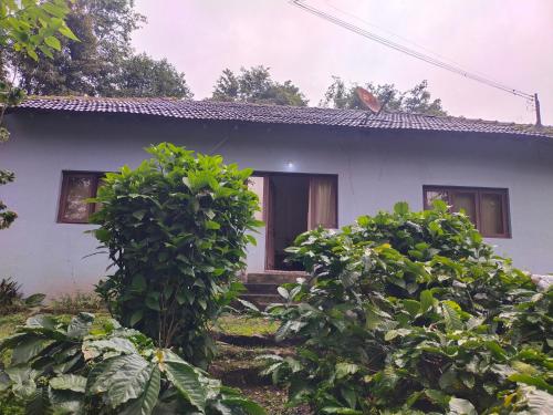 a white house with a door in a yard at Naturecraft Homestay in Vastāra
