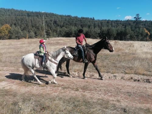 two people riding on horses in a field at Rusaliite Adventure House in Bachevo