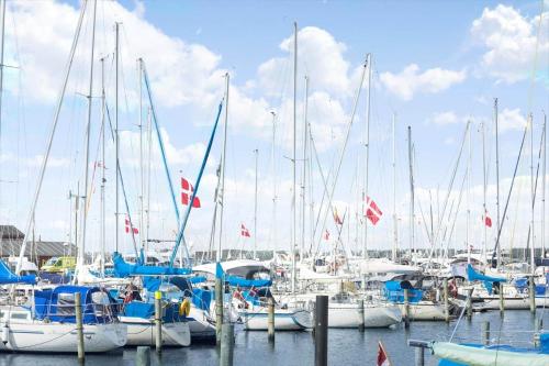a bunch of boats docked in a harbor at 40156-Juelsminde-Hasselvej-1 in Juelsminde