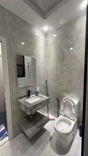 a bathroom with a sink and a toilet at Sumeras Sapphire Retreat in Ajman 