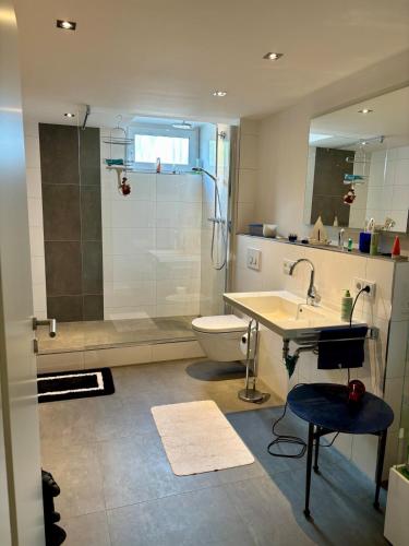 a bathroom with a shower and a toilet and a sink at Schicke Einliegerwohnung in Karben