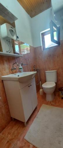 a bathroom with a sink and a toilet at Boračko jezero Apartment "doelend" in Konjic