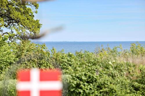 a blurry picture of a norwegian flag and the ocean at 40353-Juelsminde-Niels-Rasmussens-Vej-127 in Sønderby